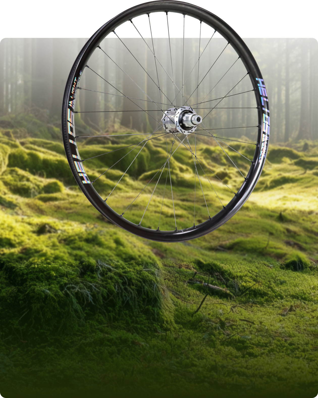 Carbon Rims & Wheels - 100% Customizable | Light Bicycle