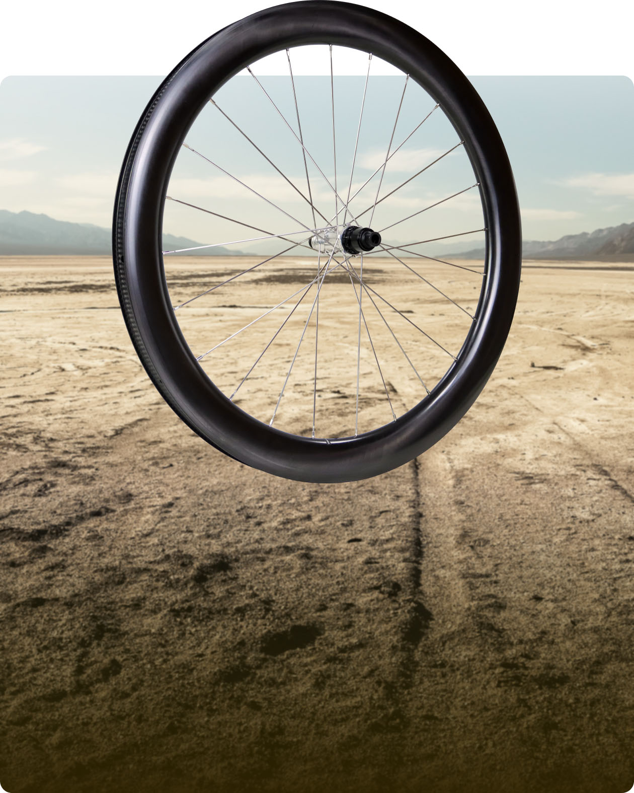 Carbon Rims & Wheels - 100% Customizable | Light Bicycle