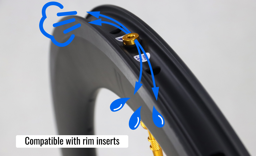 light-bicycle-tubeless-valves-compatible-with-rim-inserts.jpeg
