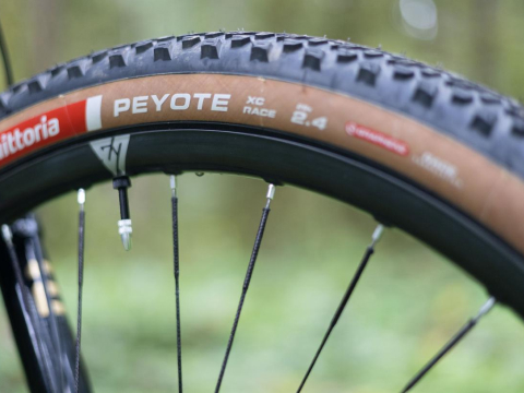 light-bicycle-rider-bike-check-2024-s-works-epic-tires.jpeg