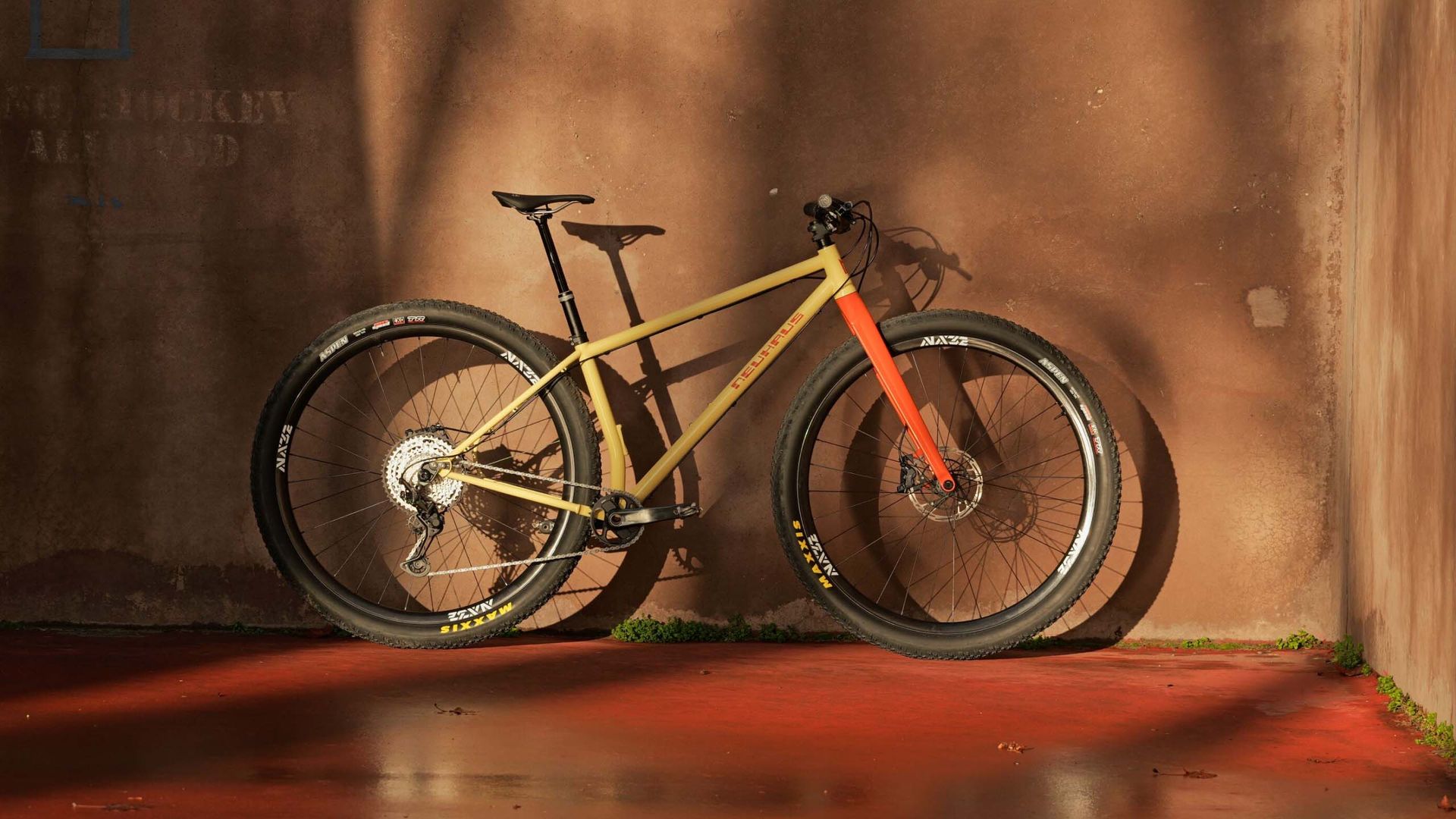 light-bicycle-15-year-review-2026-feb-1.jpeg
