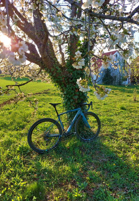 light-bicycle-rider-story-turbo-40-disc-custom-carbon-wheels-review-installed-on-carbonda-505-gravel-bike.jpeg