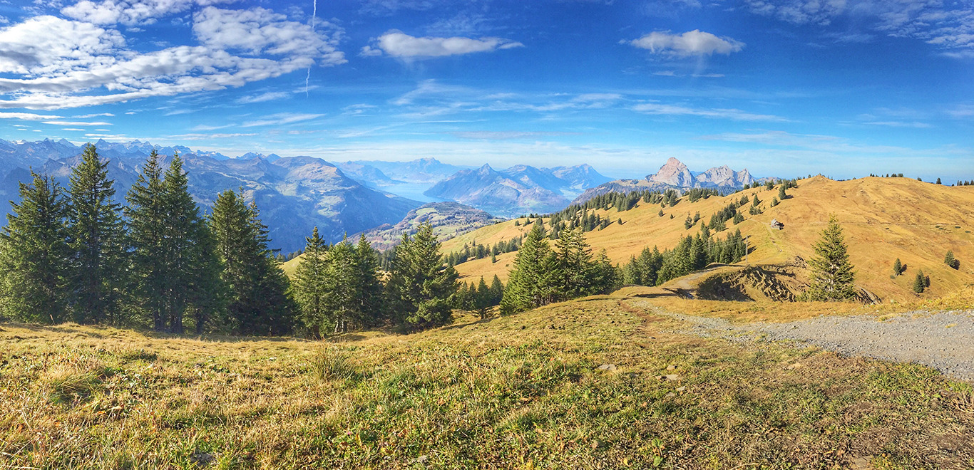 Swiss-Alps-bike-adventure.jpeg