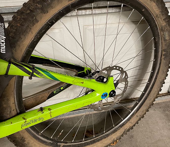 turtle-on-gravel-road