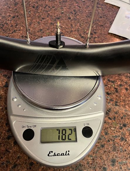 turtle-on-gravel-road