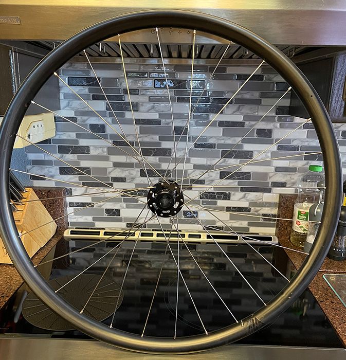 turtle-on-gravel-road