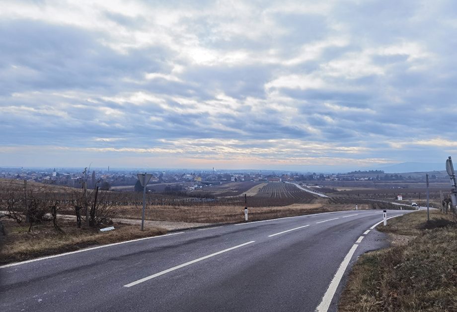 Vienna-Forest-And-Vineyards